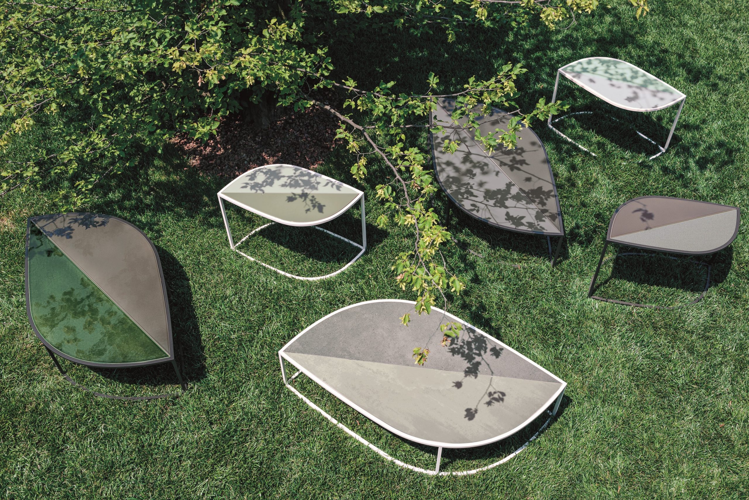 Roda - Leaf – Image 3